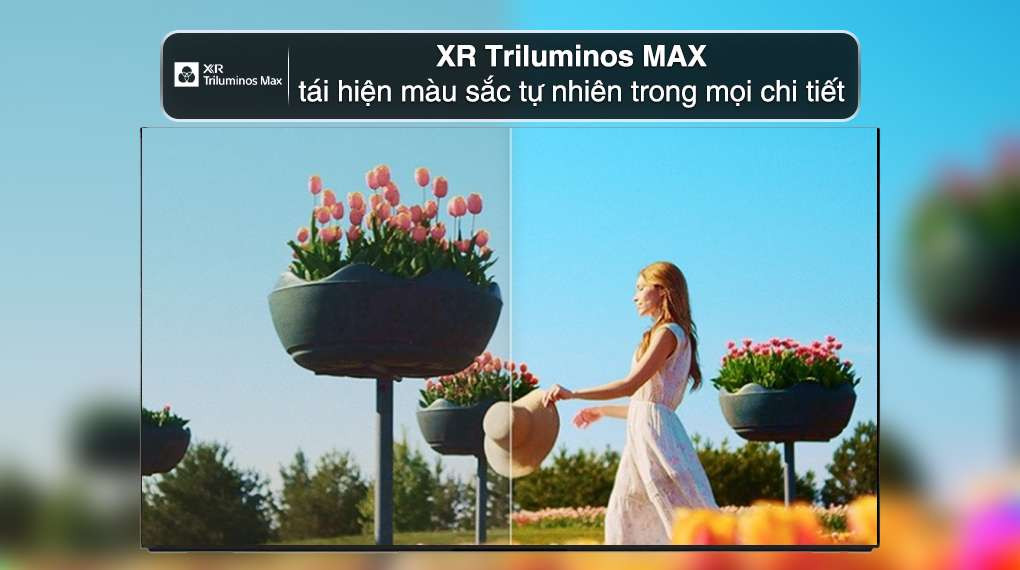 Công nghệ XR Triluminos Max