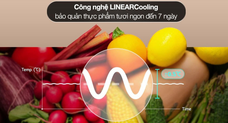 Tủ lạnh LG Multi Door - Công nghệ làm lạnh + Công nghệ bảo quản thực phẩm