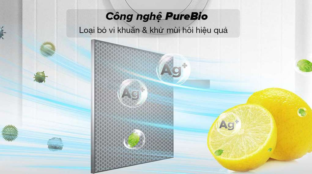 Tủ lạnh Toshiba GR-RT559WE-PMV(58)-MM