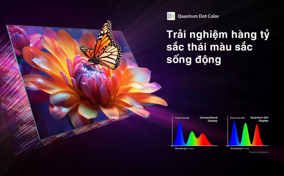55M450NP - Trải nghiệm hàng tỷ sắc màu sống động với Quantum Dot Color