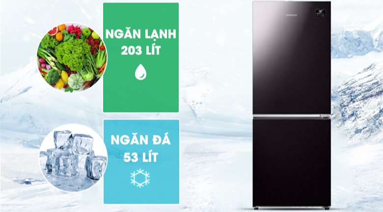 Tủ lạnh Samsugn 2 cánh - Dung tích 280 lít phù hợp cho gia từ từ 2 đến 3 thành viên