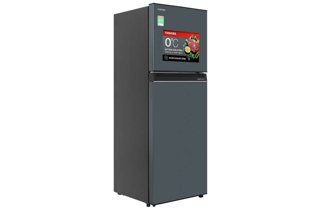 Tủ lạnh Toshiba Inverter 233 lít GR-RT303WE-PMV(52) - Chính hãng