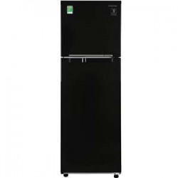 Tủ lạnh Samsung Inverter 256 lít RT25M4032BU/SV - Chính hãng