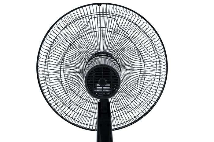 Quạt cây Sharp 3 cánh PJ-S40RV-DG 50W - Chính hãng
