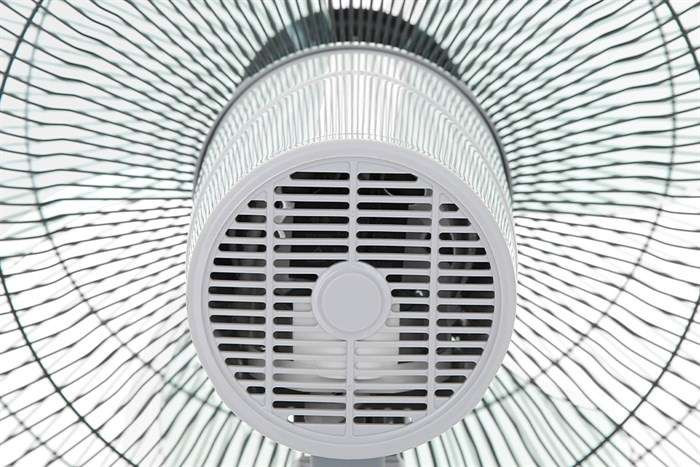 Quạt cây Sharp 3 cánh PJ-S40RV-LG 50W - Chính hãng