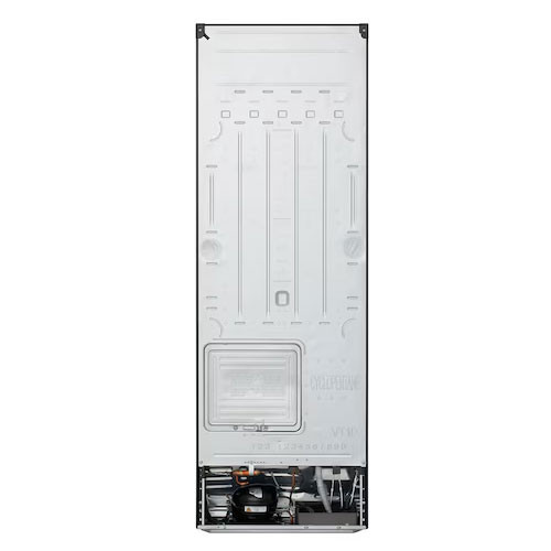 Tủ lạnh LG LTB26BLM Inverter 266 lít