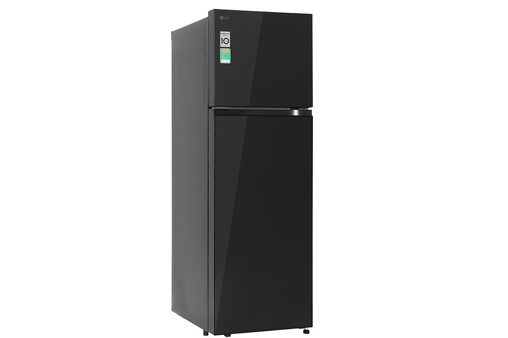 Tủ lạnh LG T21BG Inverter 217 lít
